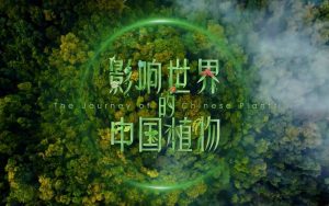 《影响世界的中国植物》